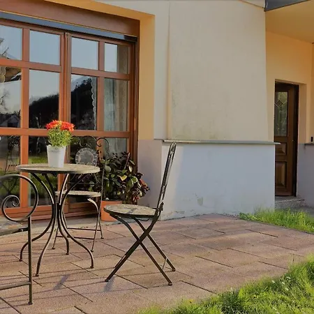 Moser - Mit Terrasse Apartment Gera